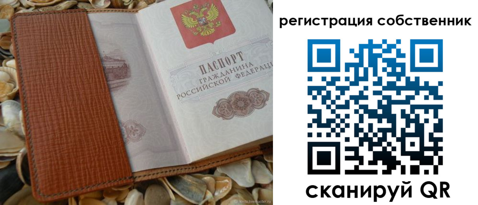 временная регистрация для школы в Ленинградской области